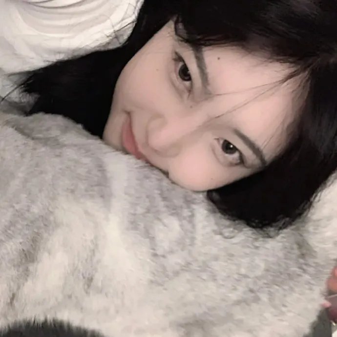 行运一条龙